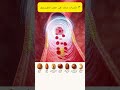 أفضل 7 مكسرات تساعد على خفض الكوليسترول في الدم ASMR#