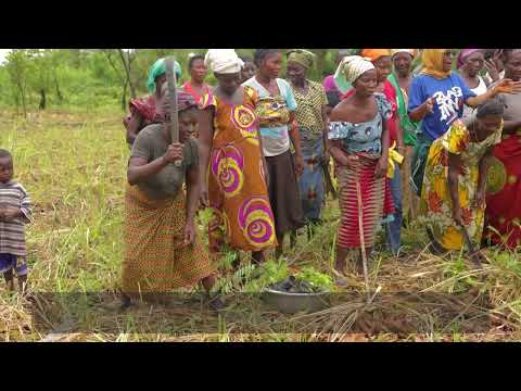 Sustainable Community Forest Management in Tagba, Togo