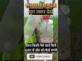 बिना खर्च के सुअर कैसे बघाये | 50 रुपये के खर्च से खेत की सुरक्ष्या | बिना पैसे खर्च किये | #viral 