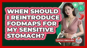 When Should I Reintroduce FODMAPs For My Sensitive Stomach? - Sensitive Stomach Guide