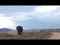 #63 Bucket List Trip: World Famous Serengeti in Tanzania Self Drive | Africa Tour 2016-2017