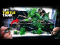 Aquascape tutorial  3ft turtle aqua terrarium  paludarium  aquarium how to planted tank guide