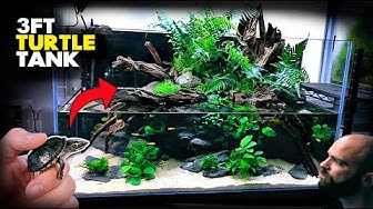 8100 Contoh Hardscape Aquarium HD Terbaik