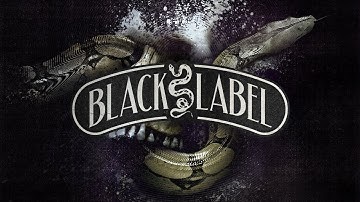 Stabby & Dr. Ozi - Command Execution