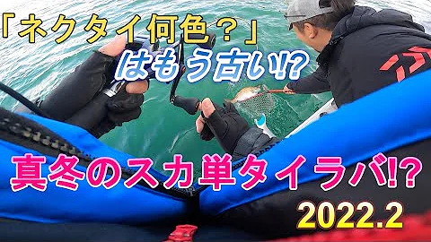ネクタイ何色 はもう古い 厳寒期瀬戸内タイラバ 22 2 Mp3