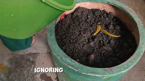 CWTS | Music Video (Economic Security and Environmental Security) 