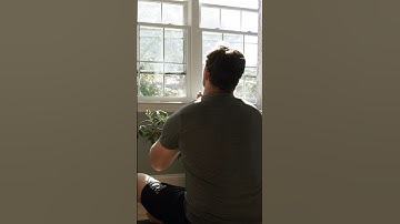 The PERFECT routine for a programmer #productivity #coding #software