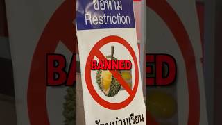 Eating BANNED Fruit (Durian) 🚫