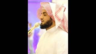 Surah Ashshams Ayah 110  Sheikh Raad Al Kurdi alquranourlight