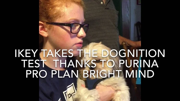 IKEY TAKES THE DOGNITION TEST THANKS TO PURINA PRO PLAN BRIGHT MIND
