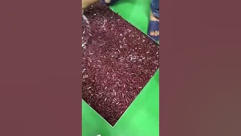 JFP-110A capsule polishing and sorting machine