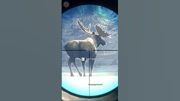 FOOLISH Plan Dangerous Moose Hunting Medved Taiga The Hunter Call Of The Wild Shorts Hunting 