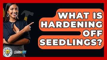 What Is Hardening Off Seedlings? - LearnToDIY360.com