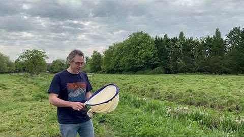 Sweep netting with Prof Ed Turner