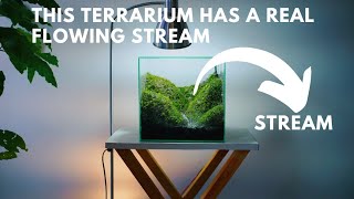 making a mossy hills terrarium with a real flowing stream