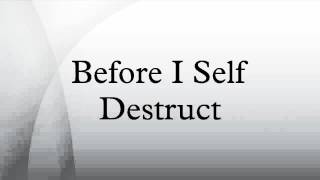 Before I Self Destruct