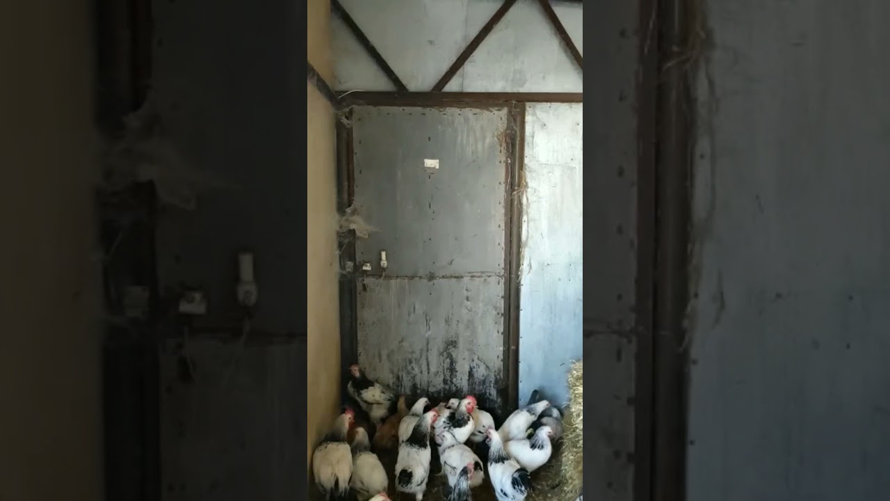 Ferma Satılır 500000Azn