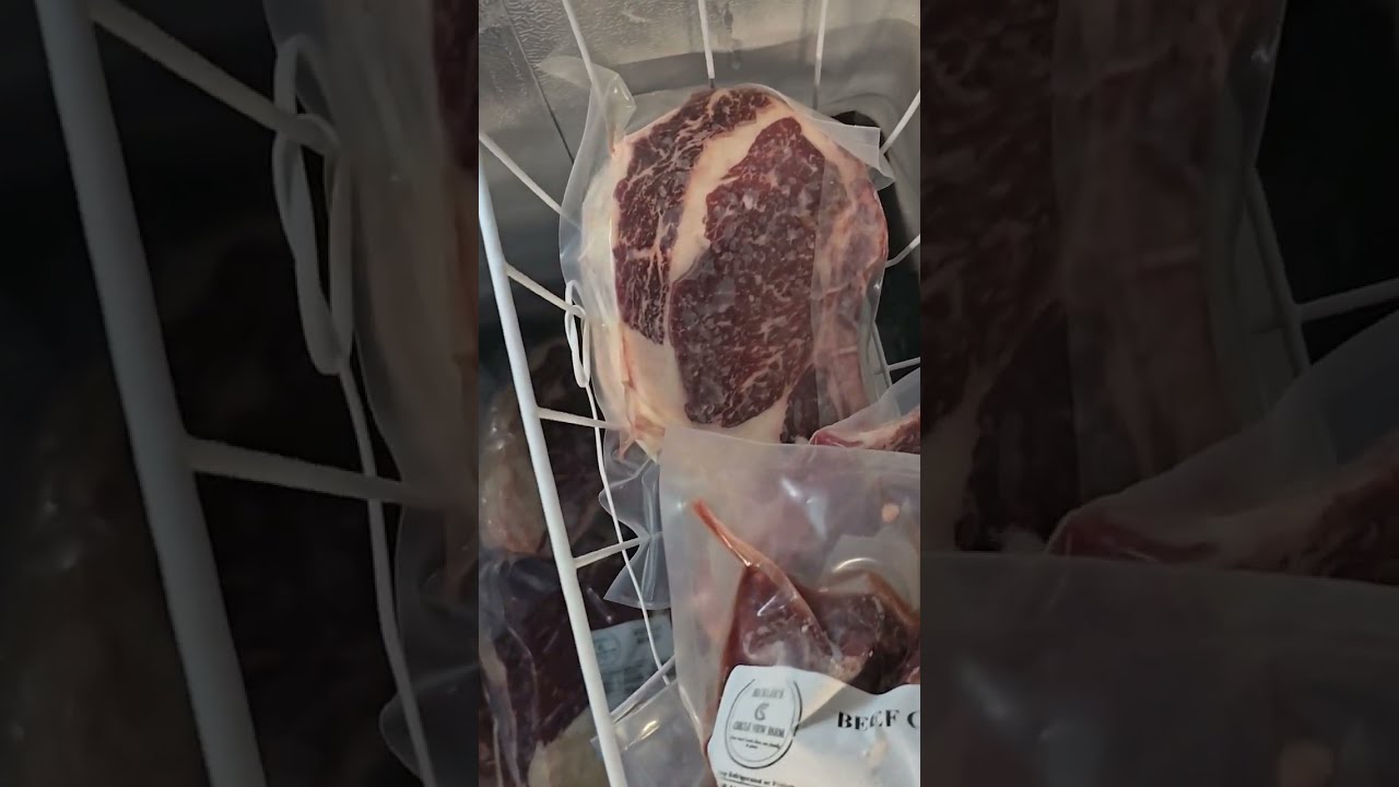 What A Quarter Cow Looks Like Sickler S Circle View Farm South NJ 2x Insignia 7 Cu Ft Freezer