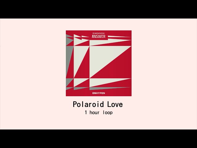 ENHYPEN 'Polaroid Love' 1 HOUR LOOP class=