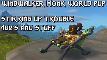 Windwalker Monk PvP || Even More Open World Fights || WoW Patch 11.2.5 PVP