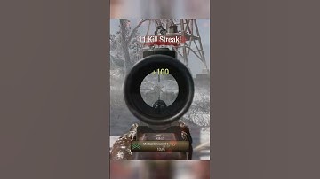 Attack Dogs on Array (BO1 in 2025) #callofduty