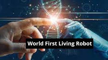 What are Xenobots | Self-Replicating Robots Developed by Tufts University | First-Time