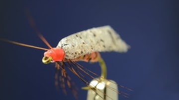 Foam Wing October Caddis -- Fly tying lesson video tutorial by Curtis Fry