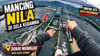 Mancing Nila di Sela Keramba Apung Danau Maninjau! Strike Bertubi-tubi 