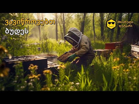 ვავიწროვებთ ბუდეს