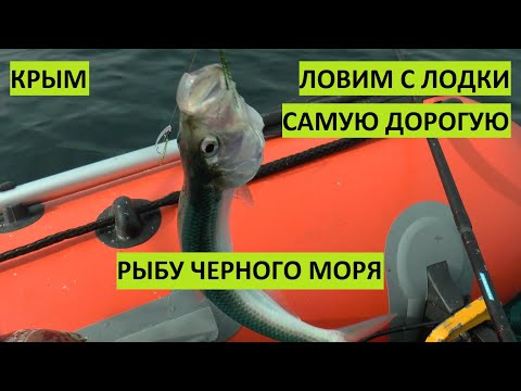 Крым. Ловим самую дорогую рыбу Черного моря