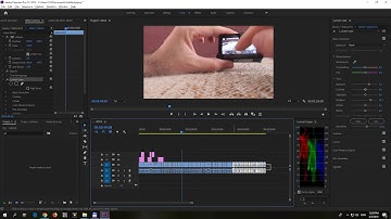 How to Remove Color Correction from All clips (Premiere Pro)