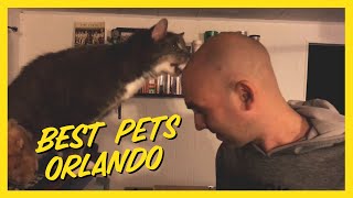 Best Pets Orlando | Dog Walking & Exotic Pet Sitting