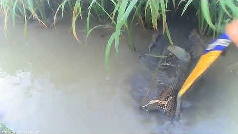 Hành Trình Đi Bộ 2km Đặc Lộp Ếch Và Cái Kết #sanbatmientay 