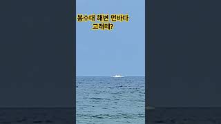 봉수대해변 수평선  근처 하얀 포말 고래떼?