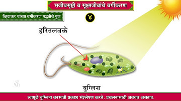 8th Science | Chapter#01 | Topic#04 | व्हिटाकर यांच्या वर्गीकरण पद्धतीचे गुण - दोष | Marathi Medium