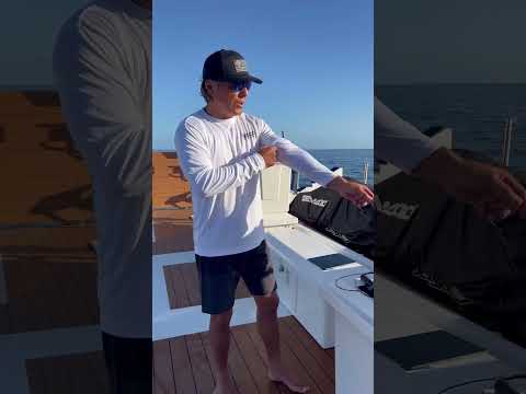 Anthony Talks Conservation & Explains Groundbreaking Satellite Tagging Technology