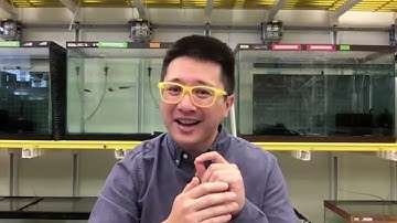 GelSight - Did You Know -  Tactile Sensing is Used in Biology - Yale