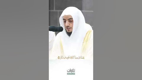 شيخ وليد الشمسان تلاوة يأخذك لعالم اخر