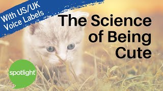 The Science of Being Cute | practice English with Spotlight screenshot 3