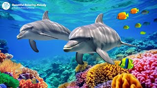 Gentle music 🐋 Sound of the sea for deep sleep, stress relief and healing of the soul #2