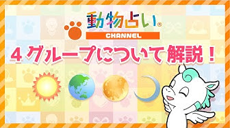 動物占い Youtube