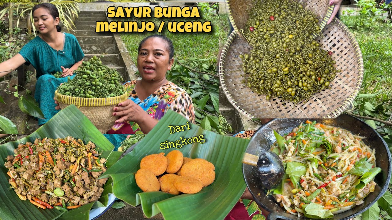 BIKIN SINGKONG JADI LAUK ENAK || PANEN UCENG DAN MELINJO MUDA || MASAKAN ANDALAN IBU MERTUA✅