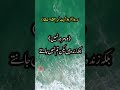 Surah Al Baqarah (Verse# 153-157) Urdu, Hindi Translation, #shorts @islam63official