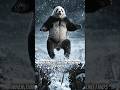 The Panda Who Conquered the Frozen Rockies! ❄️🐼 #Shorts