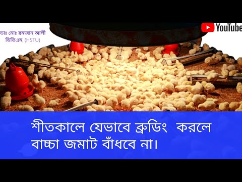 ভিডিও: 168 এবং 194 বাল্ব কি একই?