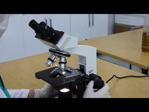 Mikroskop Kullanımı (Uygulama10 Kitabı-ÖB2)