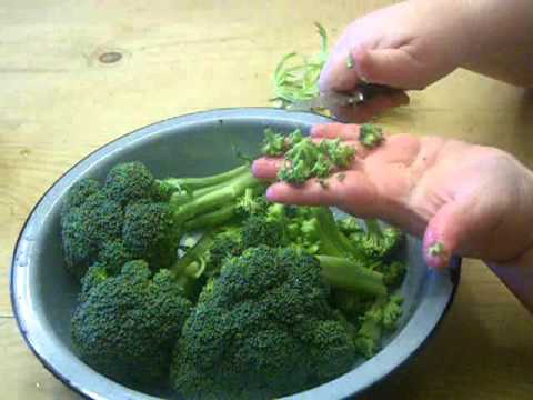How to Make THE BEST Broccoli Salad