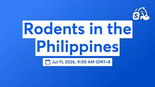Rodents in the Philippines