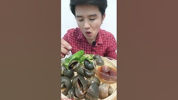 Ăn ốc bươu vàng luộc sả rượu/Ẩm Thực Lê Tuấn #ATLT#cooking #food.