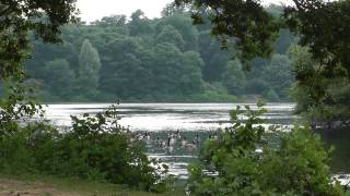 Lakes 6 @FreeHDVideoClips